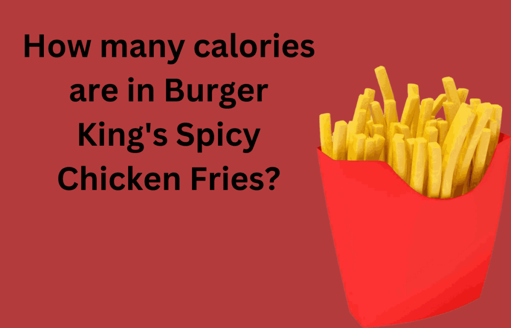 Burger King's Spicy Chicken Fries